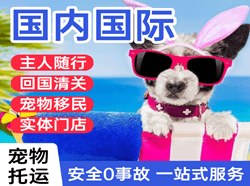 常州机场快递国际宠物托运 【国